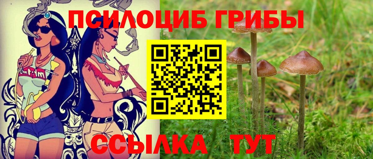 Псилоцибиновые грибы прущие грибы  Вход с VPN  Псилоцибиновые грибы Magic Shrooms  Гурьевск 