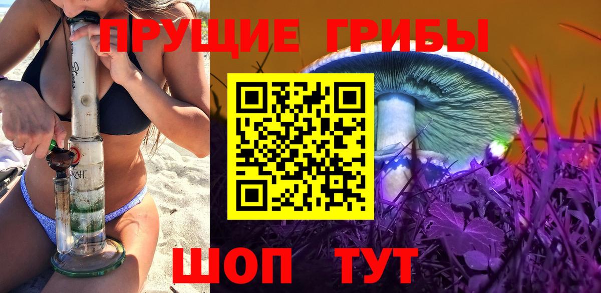 Псилоцибиновые грибы GOLDEN TEACHER Гурьевск